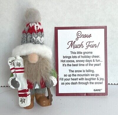 Snow Much Fun Gnomes Charm