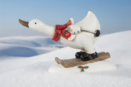 Resin Duck on skies