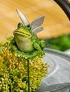 Winged Frog Plant Stakes