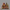 LED Light Up Village House Figurines