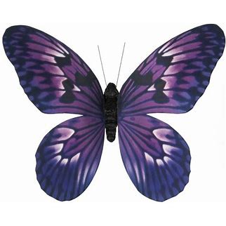 Butterfly Magnets