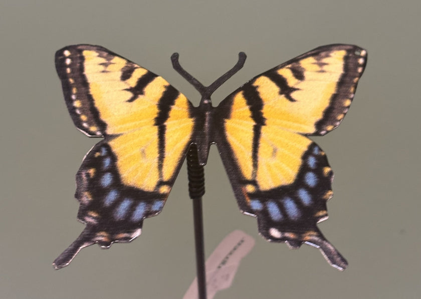 Realistic Butterflies Plant Pick