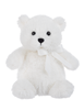 Teacup Teddy Bear