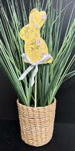 Easter Bunny plant pics