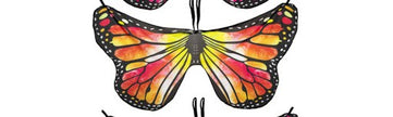 Butterfly Wings Costume