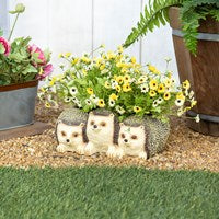 Hedgehogs Resin Planter