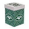 New York Jets Glass Tankard Cup, with Gift Box