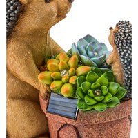 Solar Succulent Hedgehogs Flower Pot Garden Statue