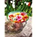 Poppies 18" Hand Painted and Embossed Glass Bird Bath