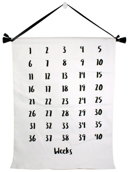 Pregnancy Weekly Countdown Wall Hanger