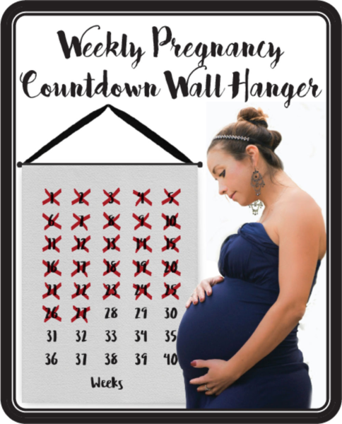 Pregnancy Weekly Countdown Wall Hanger