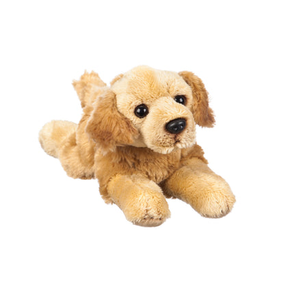Golden Retriever 8