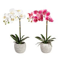 18" Artificial Orchid in Ceramic Pot Table Décor