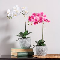18" Artificial Orchid in Ceramic Pot Table Décor
