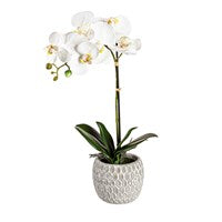 18" Artificial Orchid in Ceramic Pot Table Décor