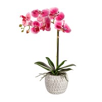 18" Artificial Orchid in Ceramic Pot Table Décor