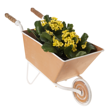 Terracotta Finish Metal Mini Wheelbarrow Planter