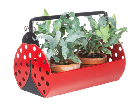 Ladybug Trough Planter with Handle