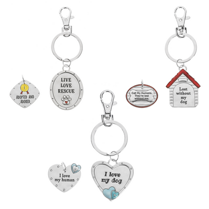 Pet Tag and Key Ring Set