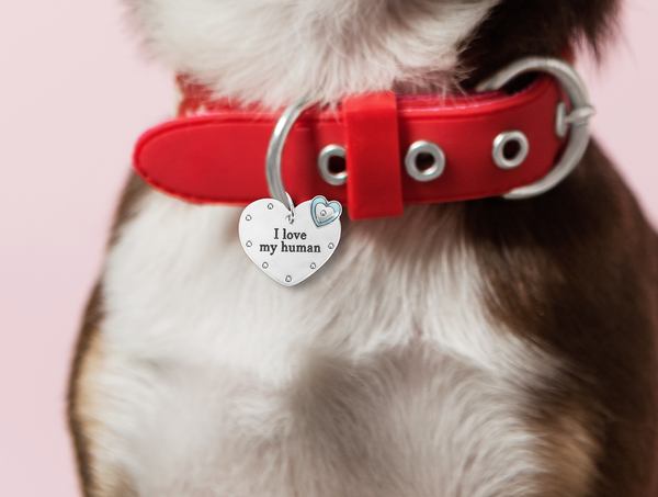 Pet Tag and Key Ring Set