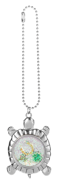 Good Luck Car Charms