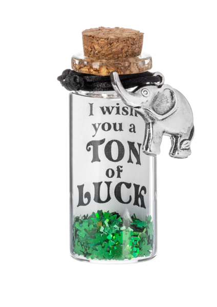 Message in a Bottle Lucky Charm Bracelets