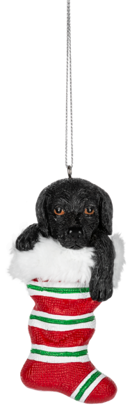 Comfy & Cozy Pets Ornament