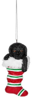 Comfy & Cozy Pets Ornament