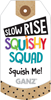 Slow Rise Squishy Squad Toy Bug