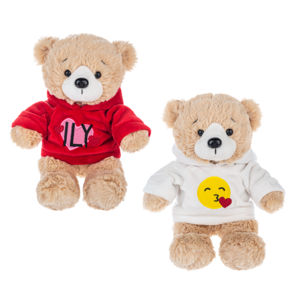 Sweet-Tweets Stuffed Bear With Hoodie