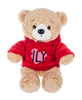Sweet-Tweets Stuffed Bear With Hoodie