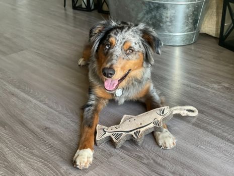 Natural Leather Trout Tug Toy-by Tall Tails