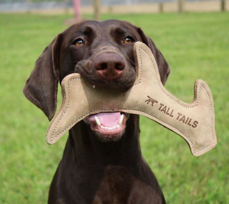 Natural Leather Antler Dog Toy-by Tall Tails