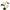 Solar Power Jade White Peony Garden Stake