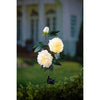 Solar Power Jade White Peony Garden Stake