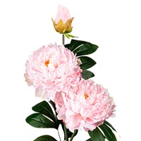 Solar Power Pink Peony Garden Stake