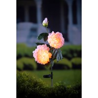 Solar Power Pink Peony Garden Stake