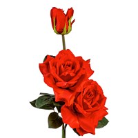 Solar Power Rose Garden Stake, Red