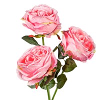 Solar Power 3 Blooms Rose Garden Stake, Pink