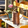 Tall Antique Copper Watering Can, 2.75L