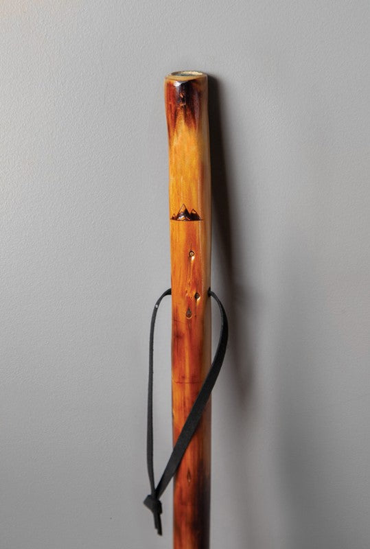 Take A Hike Walking Stick W/ Compass & Pouch