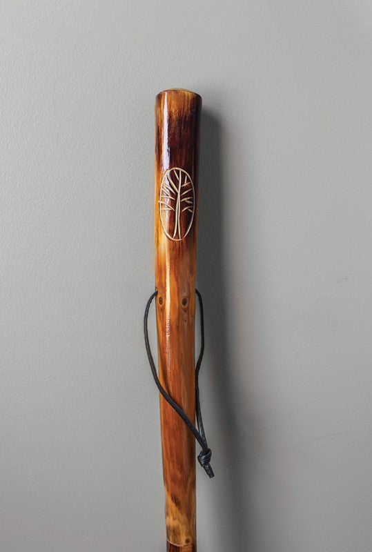 Take A Hike Walking Stick W/ Compass & Pouch